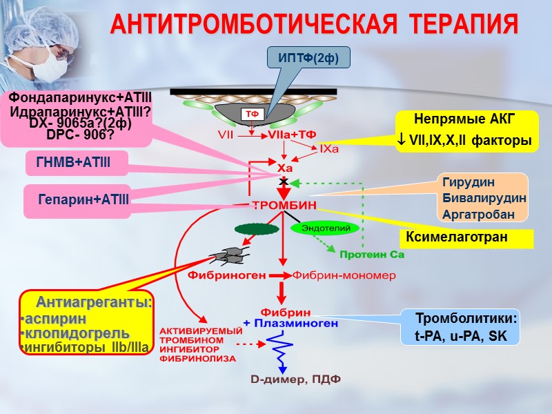 Гирудин Бивалирудин Аргатробан АНТИТРОМБОТИЧЕСКАЯ  ТЕРАПИЯ Ксимелаготран Антиагреганты: аспирин клопидогрель ингибиторы IIb/IIIa Тромболитики: t-PA,